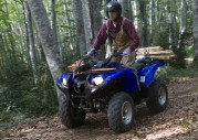 Yamaha Grizzly